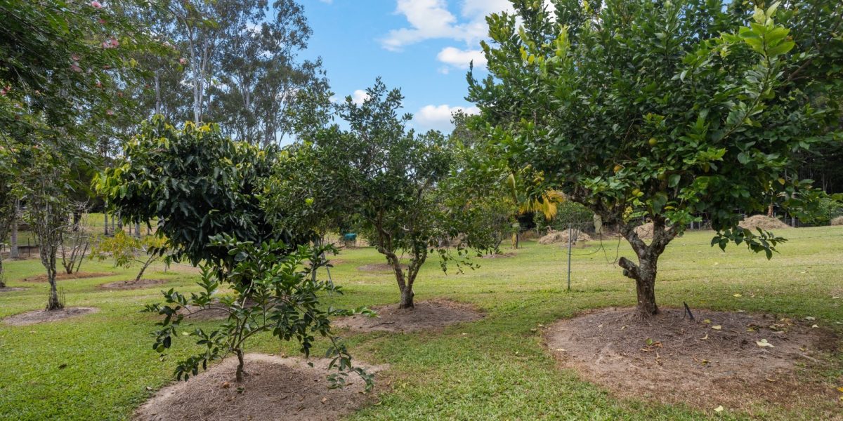 90 Stoney Creek Road, Speewah, QLD 4881 AUS