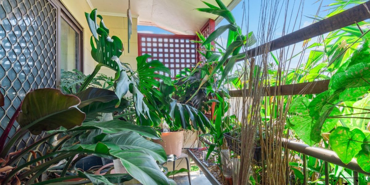 40/439-443 Severin Street, Manunda, QLD 4870 AUS