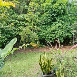 10 Marcia Close, Smithfield, QLD 4878 AUS