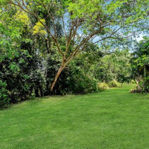 68 Leonard Street, Kewarra Beach, QLD 4879 AUS