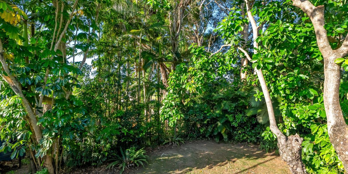 12 Bunting Street, Bungalow, QLD 4870 AUS