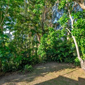 12 Bunting Street, Bungalow, QLD 4870 AUS