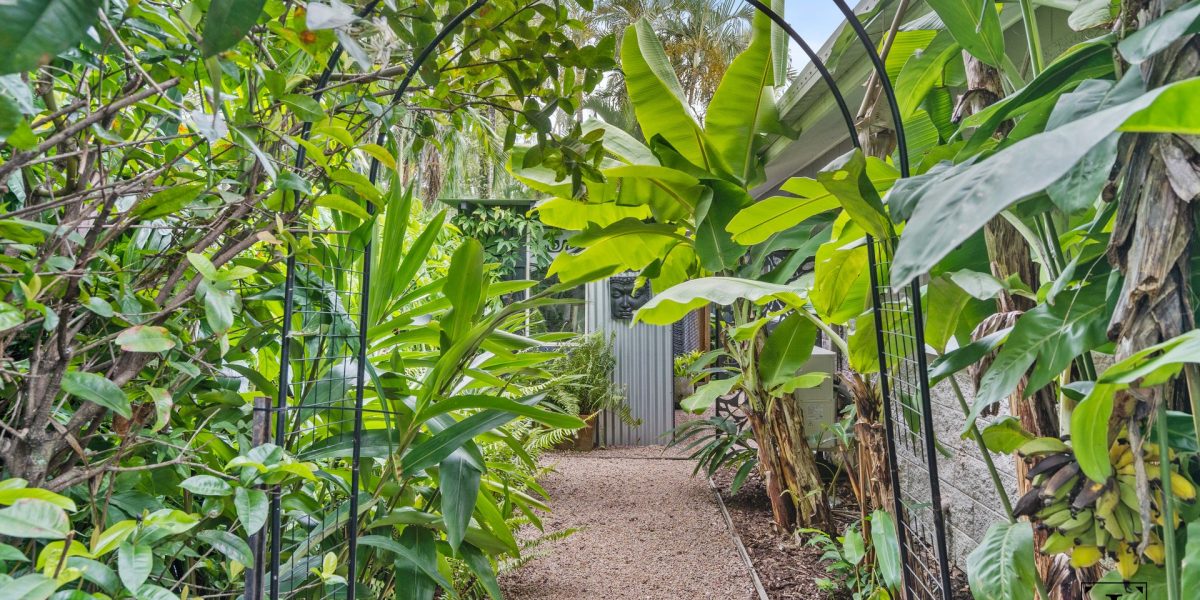 1/12 Frankston Street, Kewarra Beach, QLD 4879 AUS