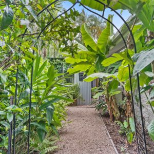 1/12 Frankston Street, Kewarra Beach, QLD 4879 AUS