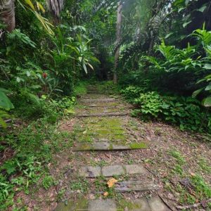 5 Sophia Close, Fishery Falls, QLD 4871 AUS