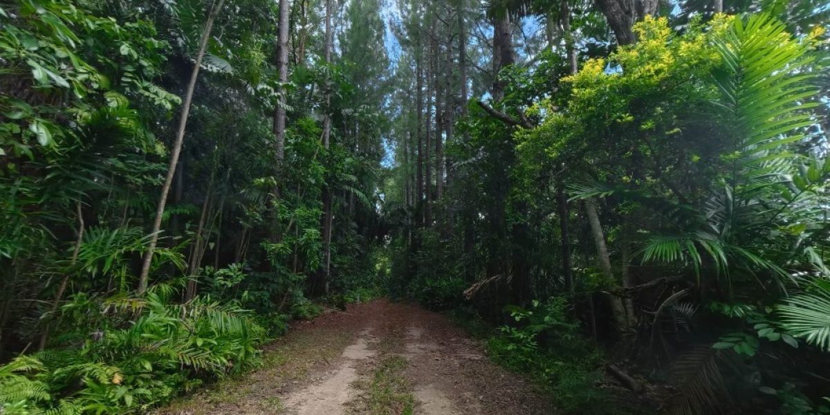 5 Sophia Close, Fishery Falls, QLD 4871 AUS