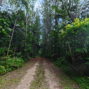 5 Sophia Close, Fishery Falls, QLD 4871 AUS