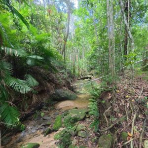 5 Sophia Close, Fishery Falls, QLD 4871 AUS