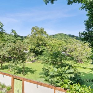 81 Cassowary Street, Freshwater, QLD 4870 AUS