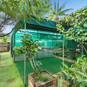 3 Elkhorn Close, Redlynch, QLD 4870 AUS