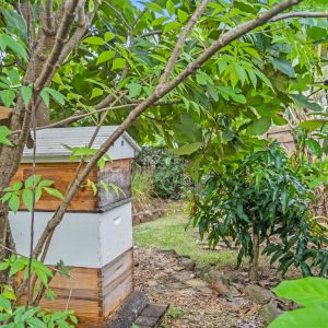 30 Shannon Drive, Woree, QLD 4868 AUS