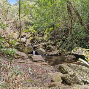 112 Mansfield Street, Earlville, QLD 4870 AUS