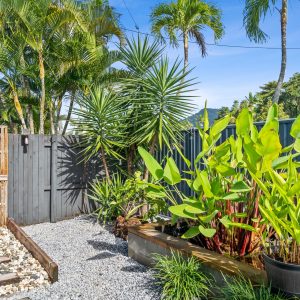 90 Gannet Street, Kewarra Beach, QLD 4879 AUS