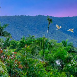 24 Mornington Street, Kewarra Beach, QLD 4879 AUS