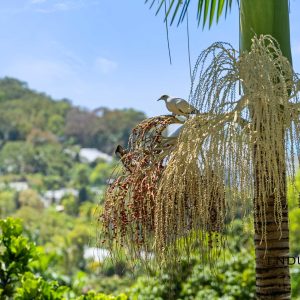 8 Trinidad Close, Trinity Beach, QLD 4879 AUS