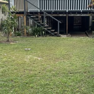 47 Grove Street, Parramatta Park, QLD 4870 AUS